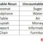 Contoh Kalimat Countable dan Uncountable Noun