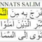 Contoh Jamak Mu'annats Salim Di Dalam Al-Qur'an