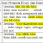 contoh soal pronoun essay dan jawabannya