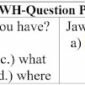 25 Contoh Soal Wh-Question (Question Word) Pilihan Ganda dan Jawabannya