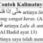 (بَابٌ) Babun Artinya, Tashrif dan Contoh Kalimat