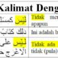 Arti Laisa ( لَيْسَ ) dan Contoh Kalimatnya