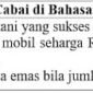contoh kalimat dengan kata cabai di bahasa Indonesia