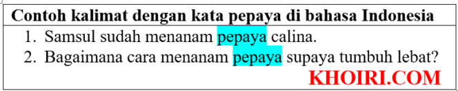 
37 Contoh kalimat dengan kata pepaya di bahasa Indonesia