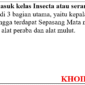 Sebutkan 8 ciri-ciri hewan yang termasuk dalam kelas serangga atau insecta?