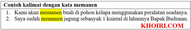 
20 Contoh kalimat dengan kata memanen