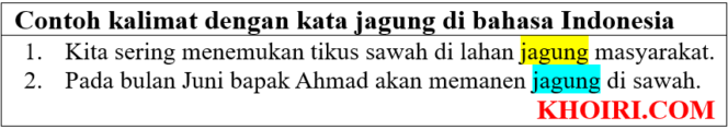 
					24 Contoh kalimat dengan kata jagung