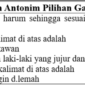 Contoh soal sinonim dan antonim pilihan ganda dan jawabannya