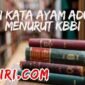 arti kata ayam aduan menurut kamus besar bahasa Indonesia (KBBI)