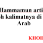 arti kata hammamun di bahasa Indonesia
