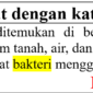 25 Contoh kalimat dengan kata bakteri di bahasa Indonesia