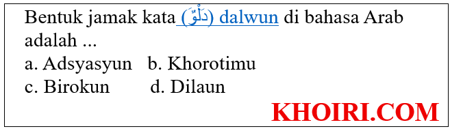 bentuk jamak kata dalwun di bahasa aRab adalah