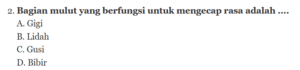 5 Contoh soal tentang mulut pilihan ganda dan jawabannya