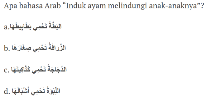 
Bahasa Arab “Induk ayam melindungi anak-anaknya” adalah …