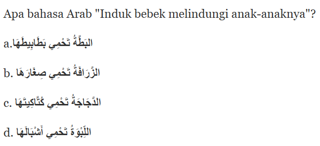 Bahasa Arab "Induk bebek melindungi anak-anaknya" adalah ...