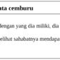 24 Contoh kalimat dengan kata cemburu