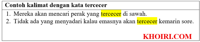 
23 Contoh kalimat dengan kata tercecer