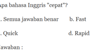 Apa bahasa Inggris "cepat"?