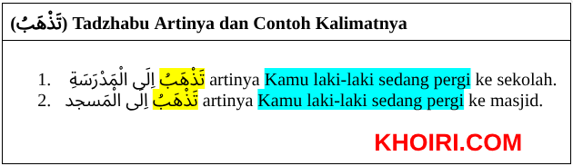 (تَذْهَبُ) Tadzhabu artinya dan contoh kalimatnya