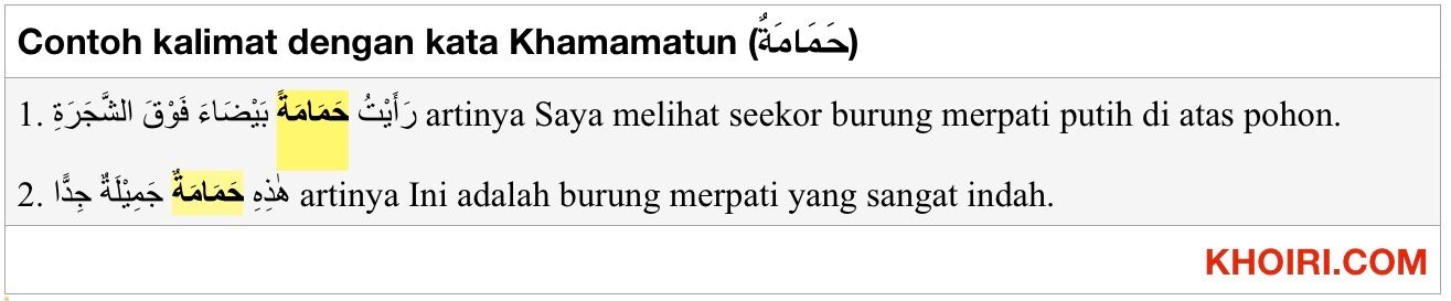 HAMAMMATUN ARTINYA, TASHRIF DAN CONTOH KALIMATNYA